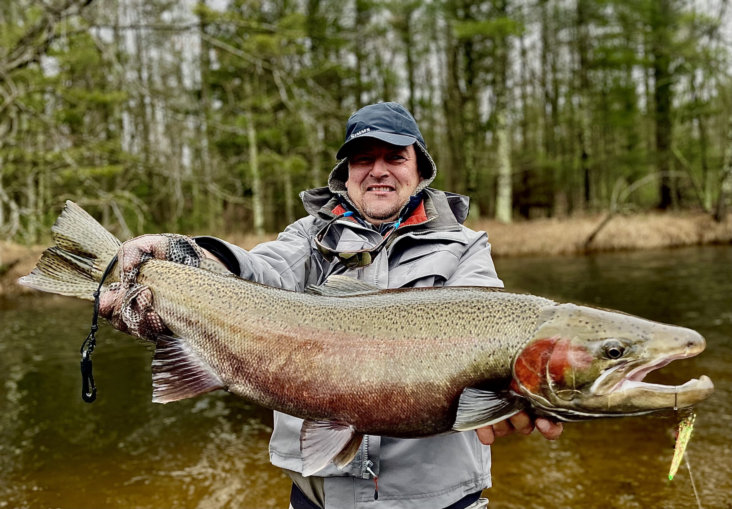Fly Fishing Report for Northwest Lower Michigan… Brown Trout